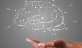 Opportunity-seeker mentality